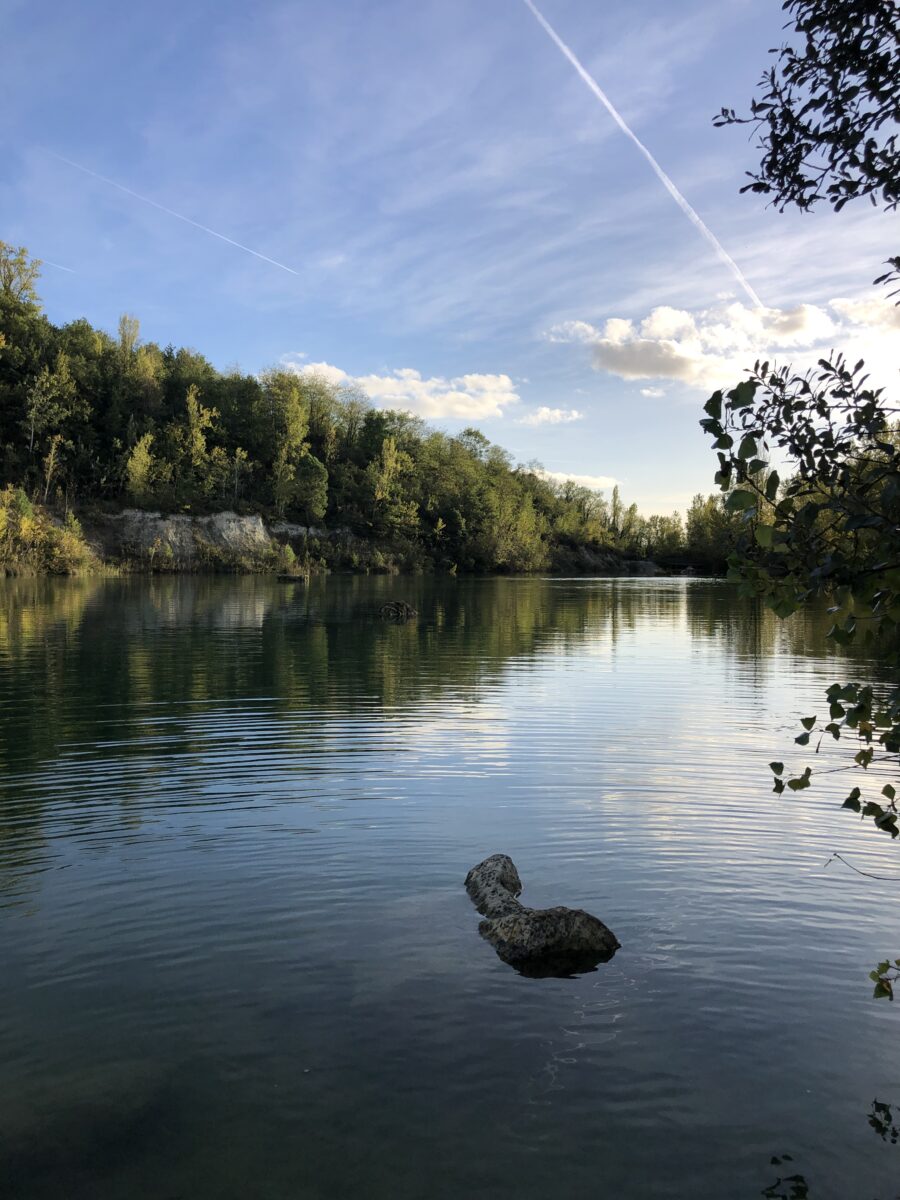 Micro-aventure Bordeaux avec son chien : le parc de l'Ermitage