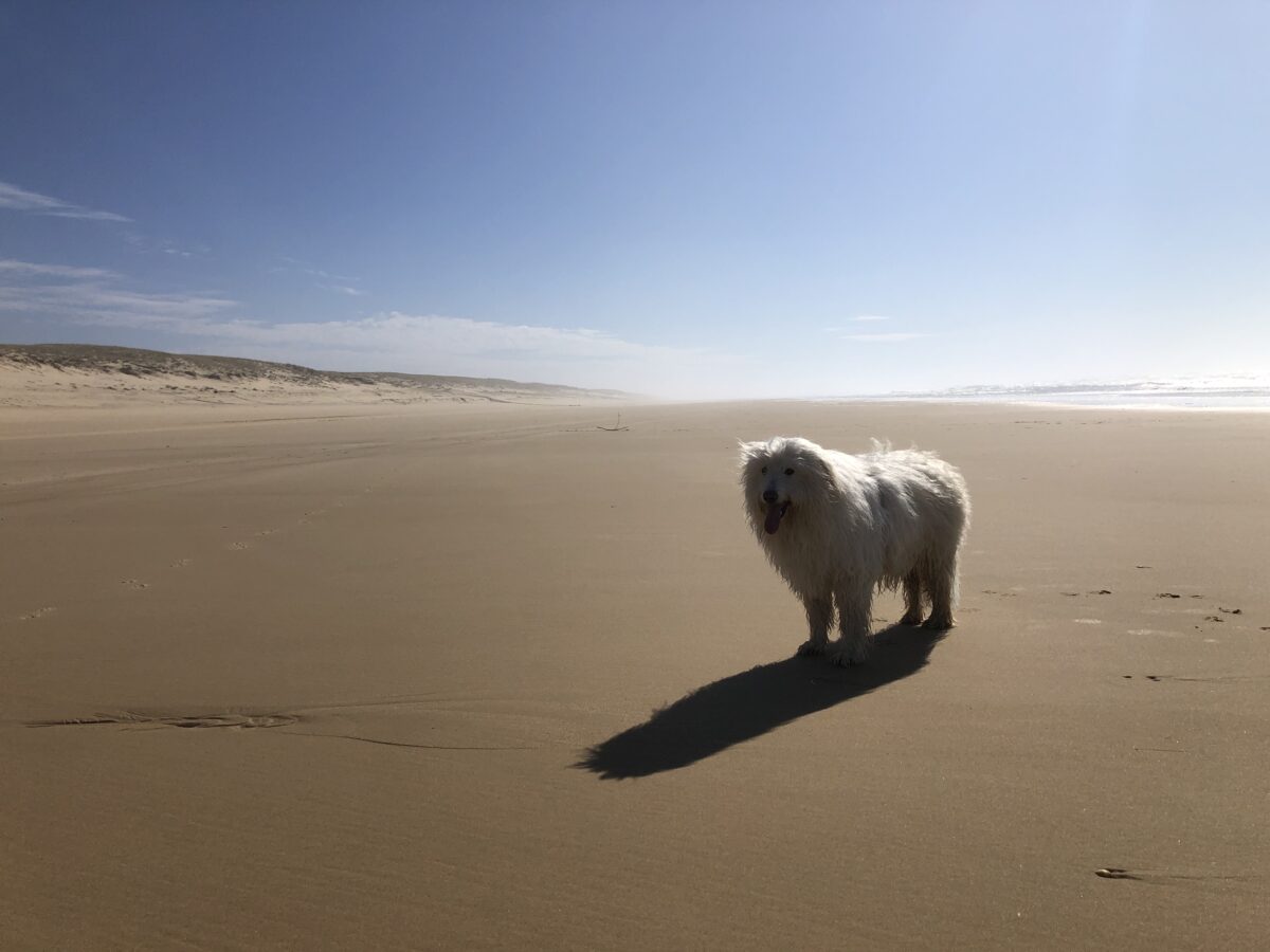 Plage du Truc Vert