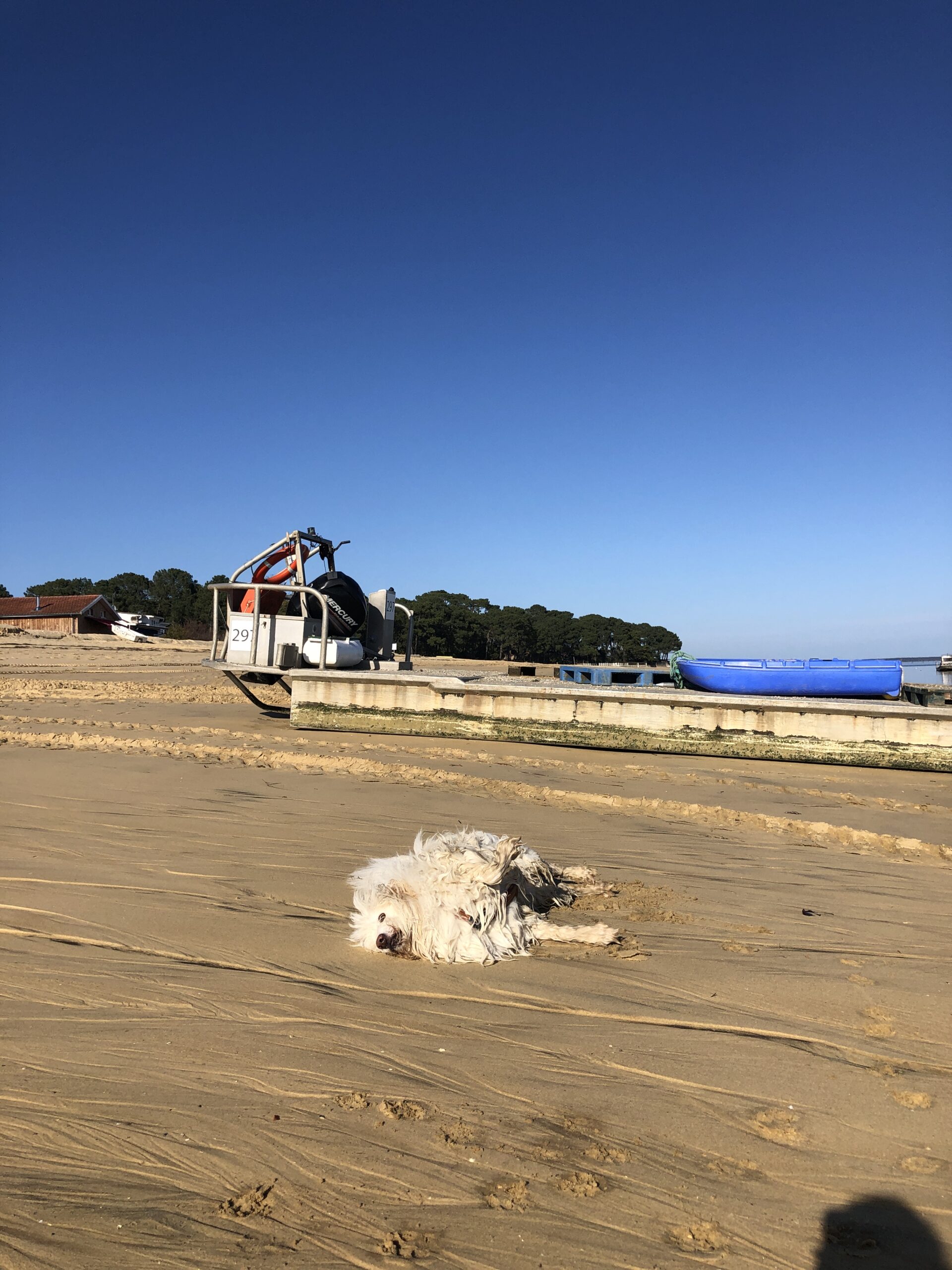 Port ostréicole de Grand Piquey