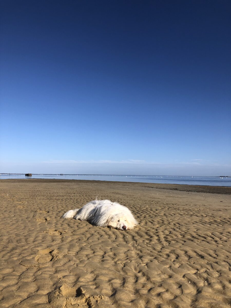 Plage de Grand Piquey