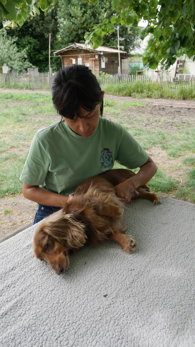 Alia, Osteo for Pets, ostéopathe animalier en Gironde